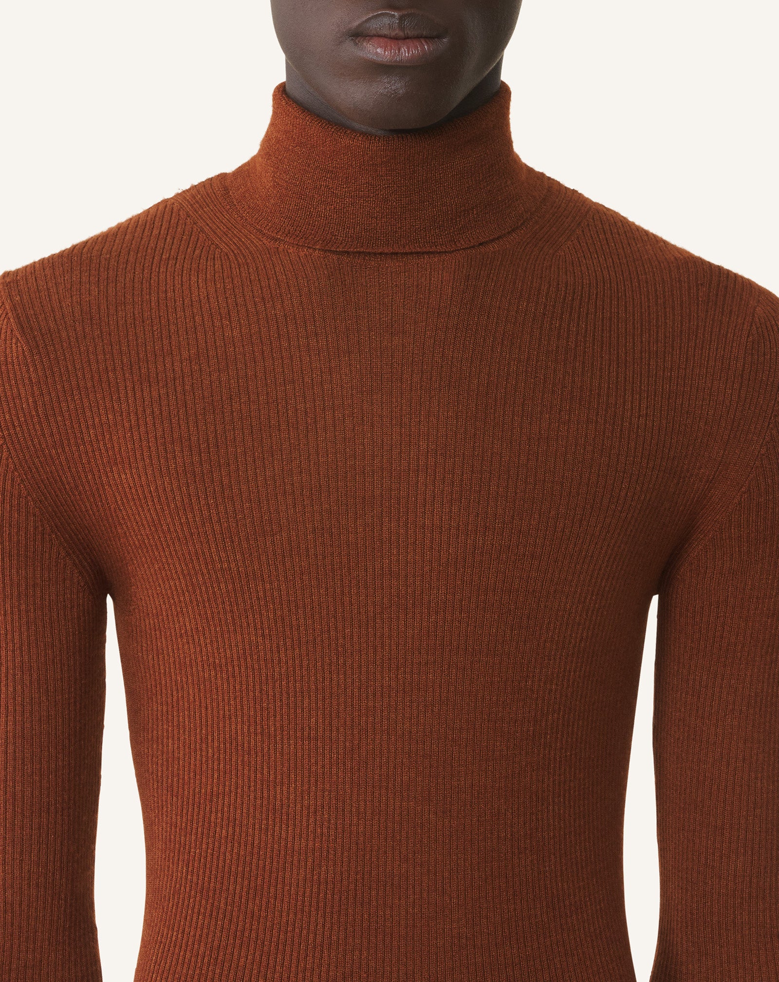 TURTLENECK SWEATER IN MERINO WOOL AND SILK